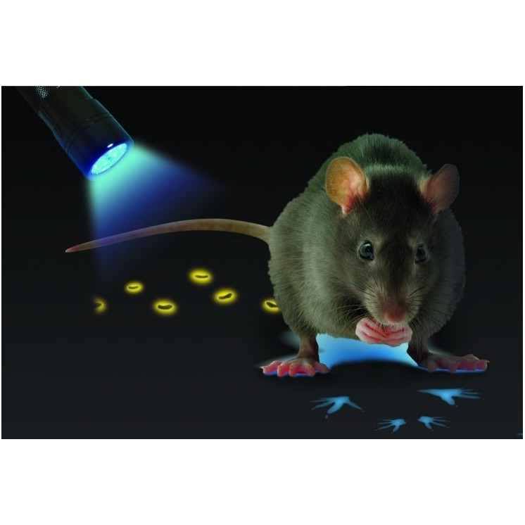 Pâte fraîche placebo pour monitoring - 5 kg