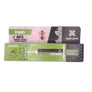 Gel fourmis insecticide - format seringue - efficacité professionnelle - 10g