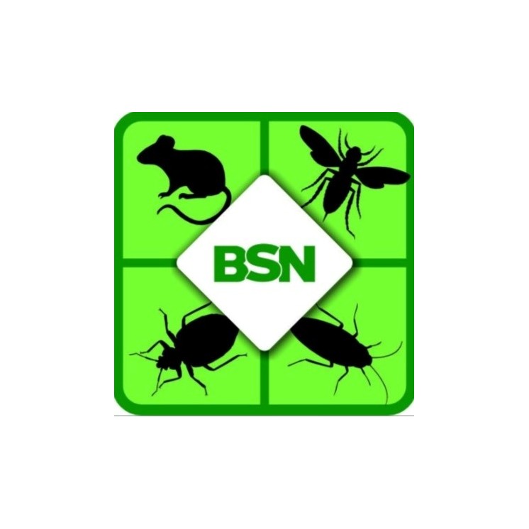 Gel fourmis insecticide - format seringue - efficacité professionnelle - 10g