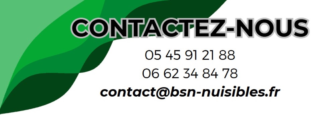 Bannière contact